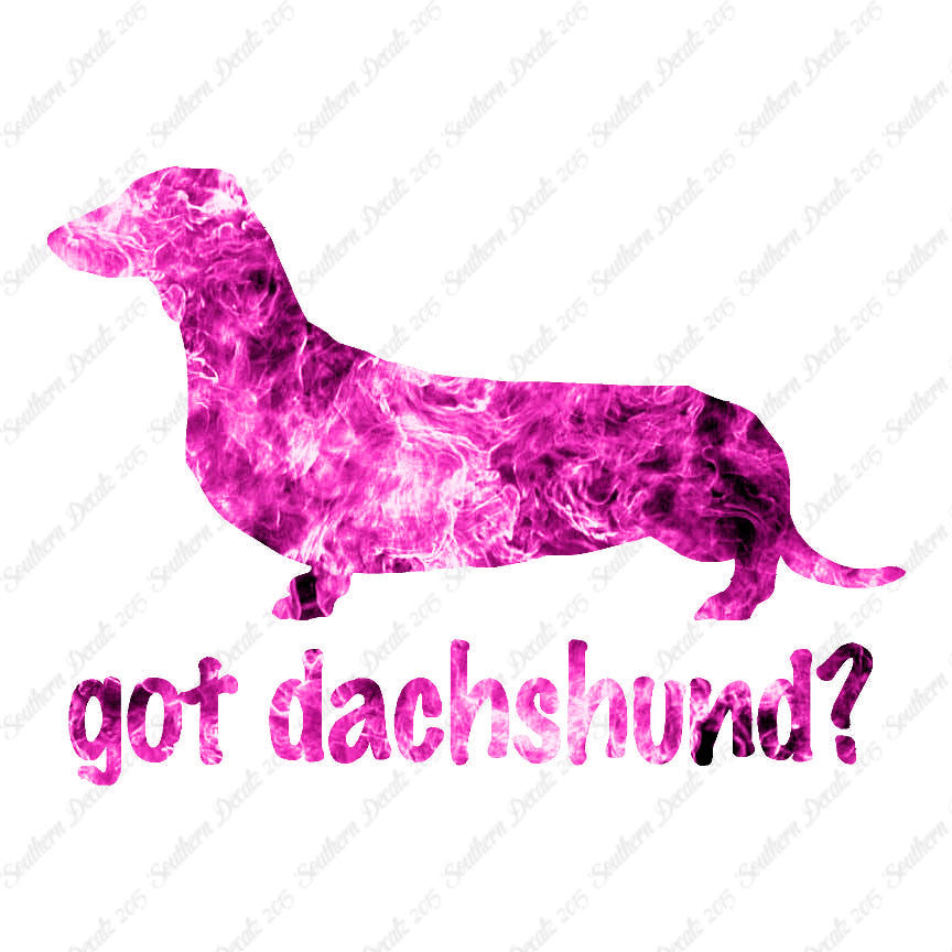 Got Dachshund ? Breed Dog