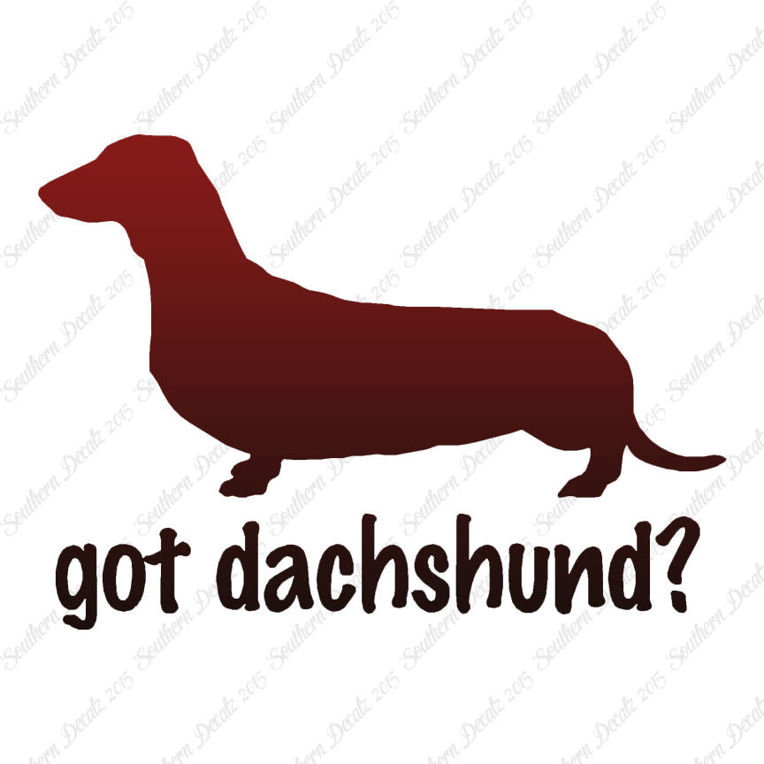 Got Dachshund ? Breed Dog