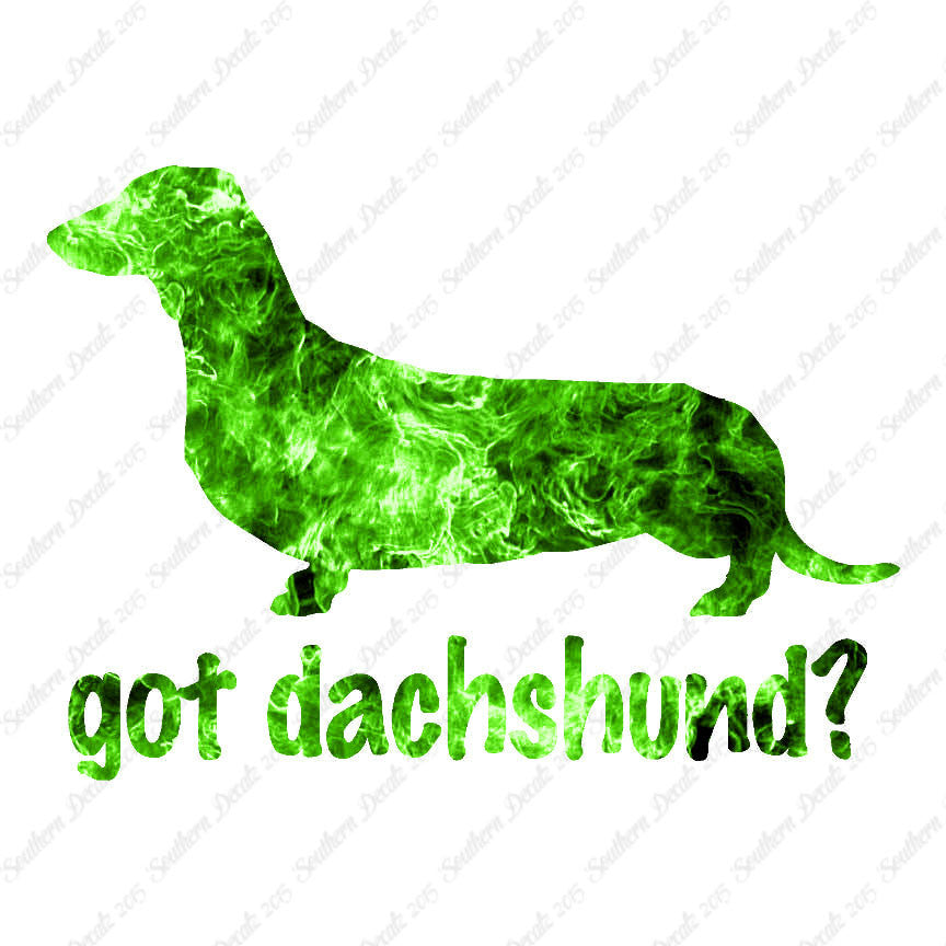 Got Dachshund ? Breed Dog