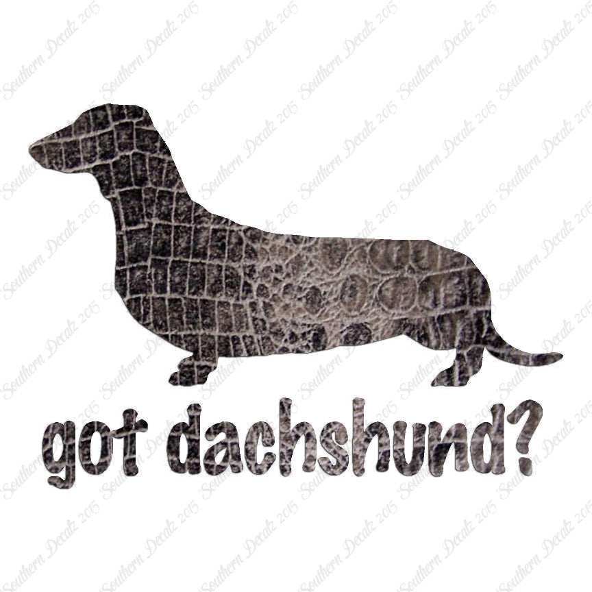 Got Dachshund ? Breed Dog