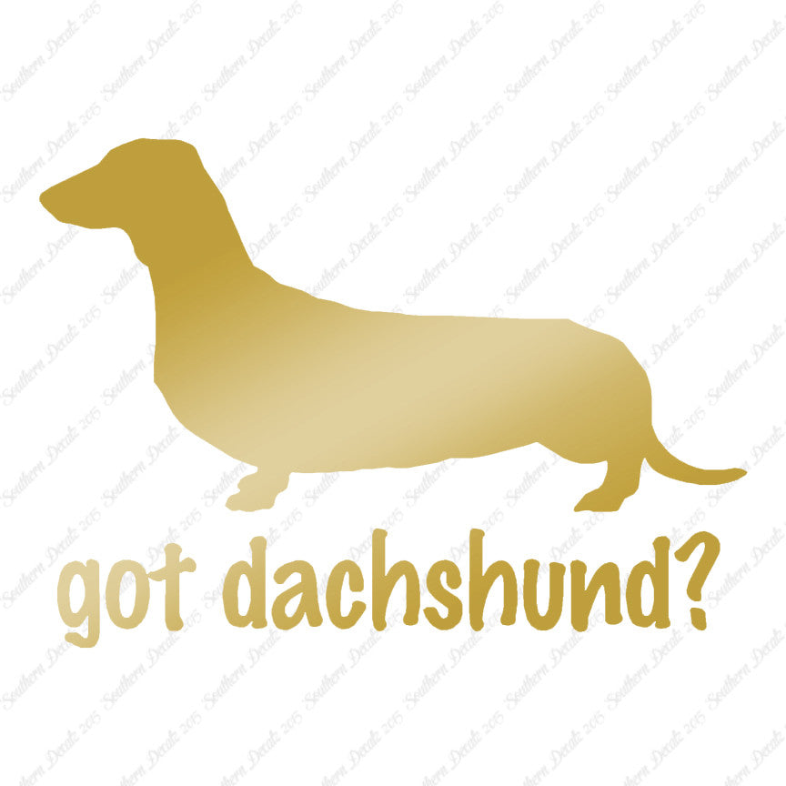 Got Dachshund ? Breed Dog