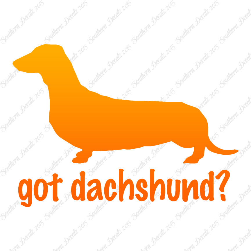 Got Dachshund ? Breed Dog