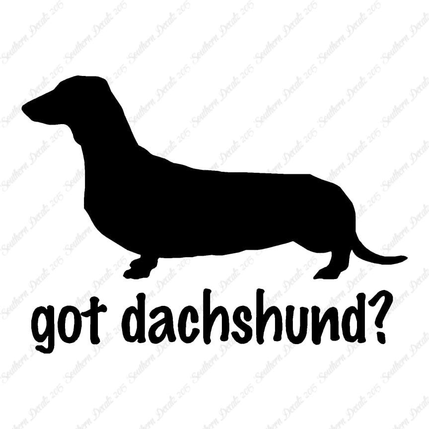 Got Dachshund ? Breed Dog