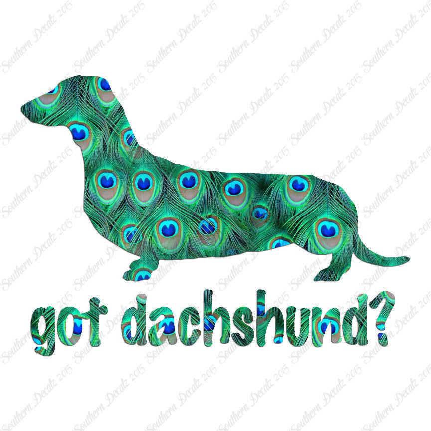 Got Dachshund ? Breed Dog