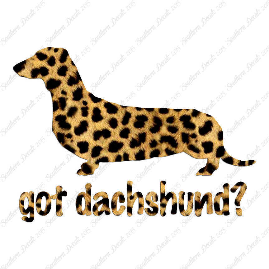 Got Dachshund ? Breed Dog