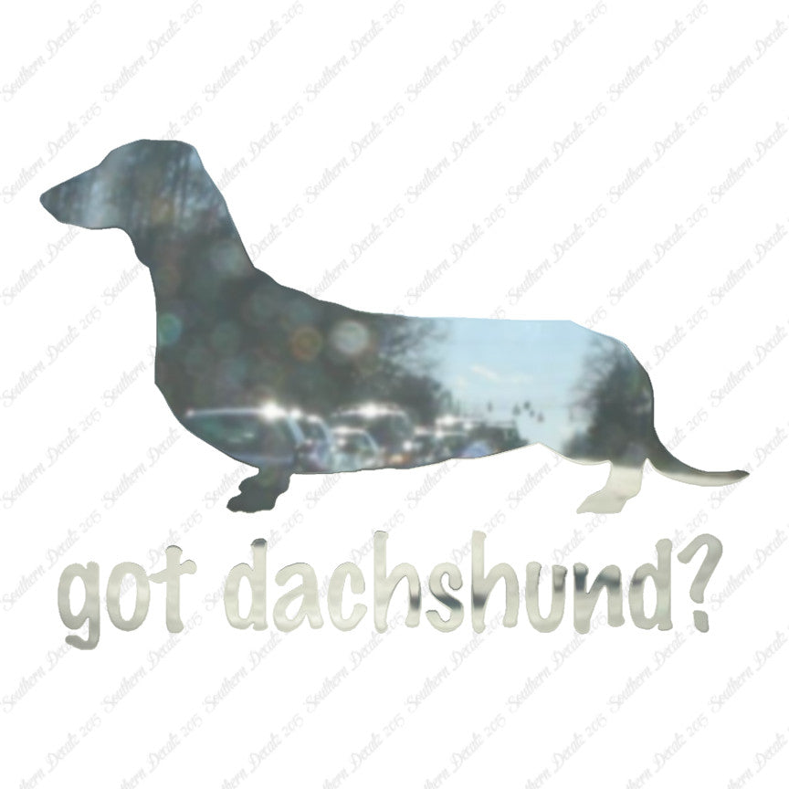 Got Dachshund ? Breed Dog