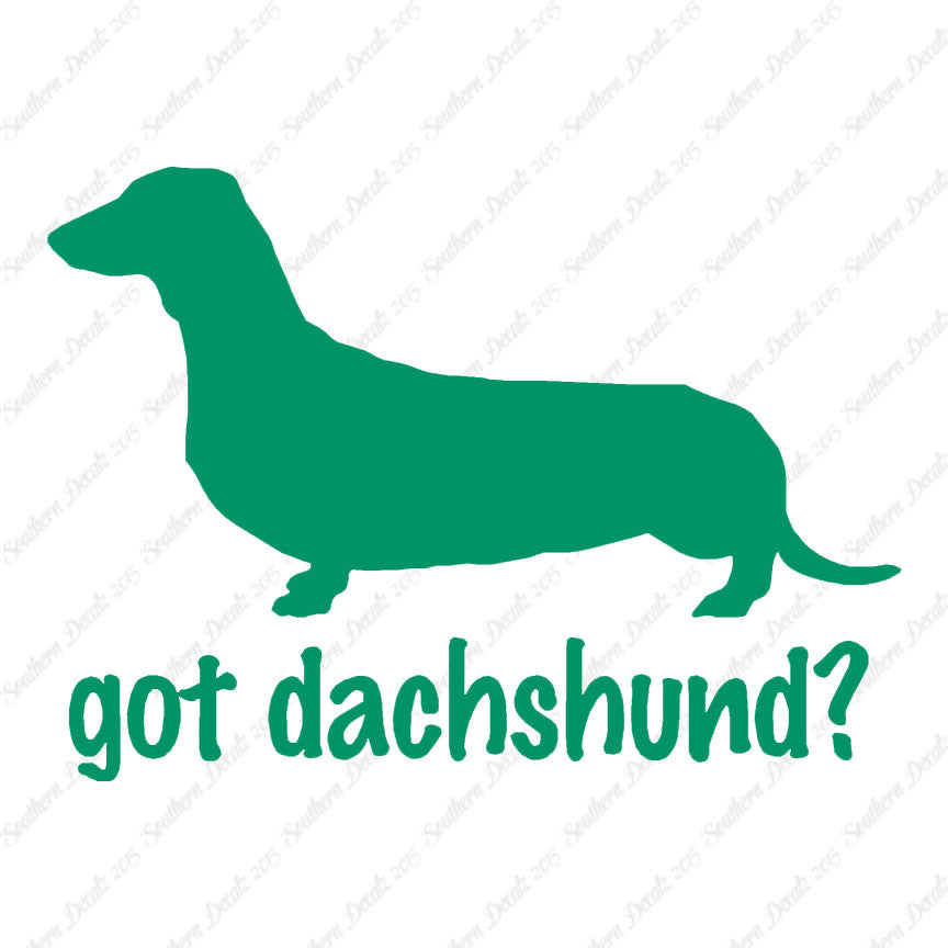 Got Dachshund ? Breed Dog