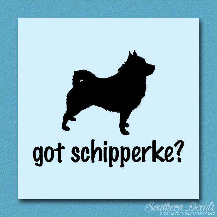 Got Schipperke ? Dog Breed