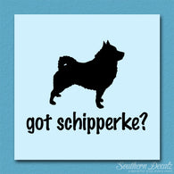 Got Schipperke ? Dog Breed
