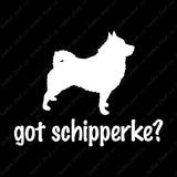 Got Schipperke ? Dog Breed