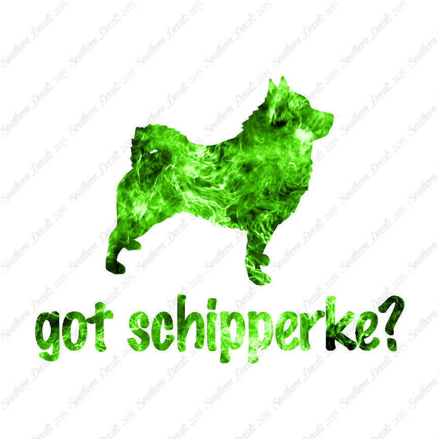 Got Schipperke ? Dog Breed