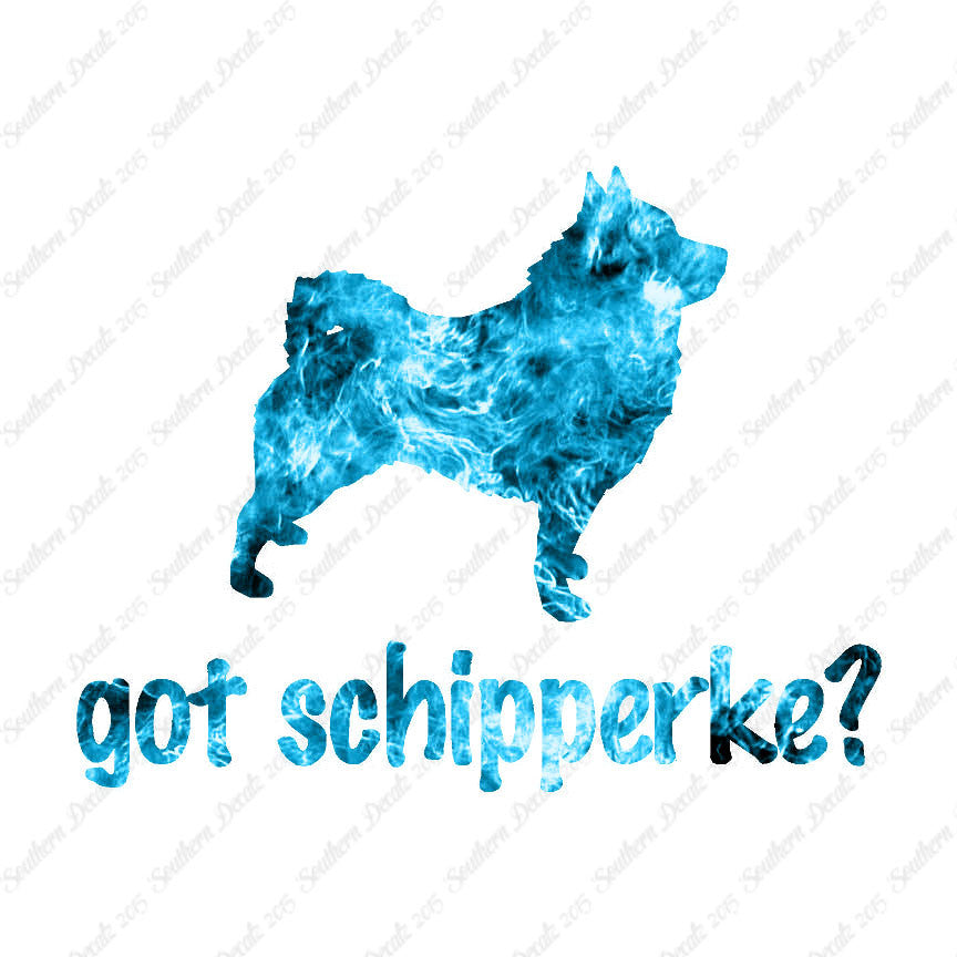 Got Schipperke ? Dog Breed