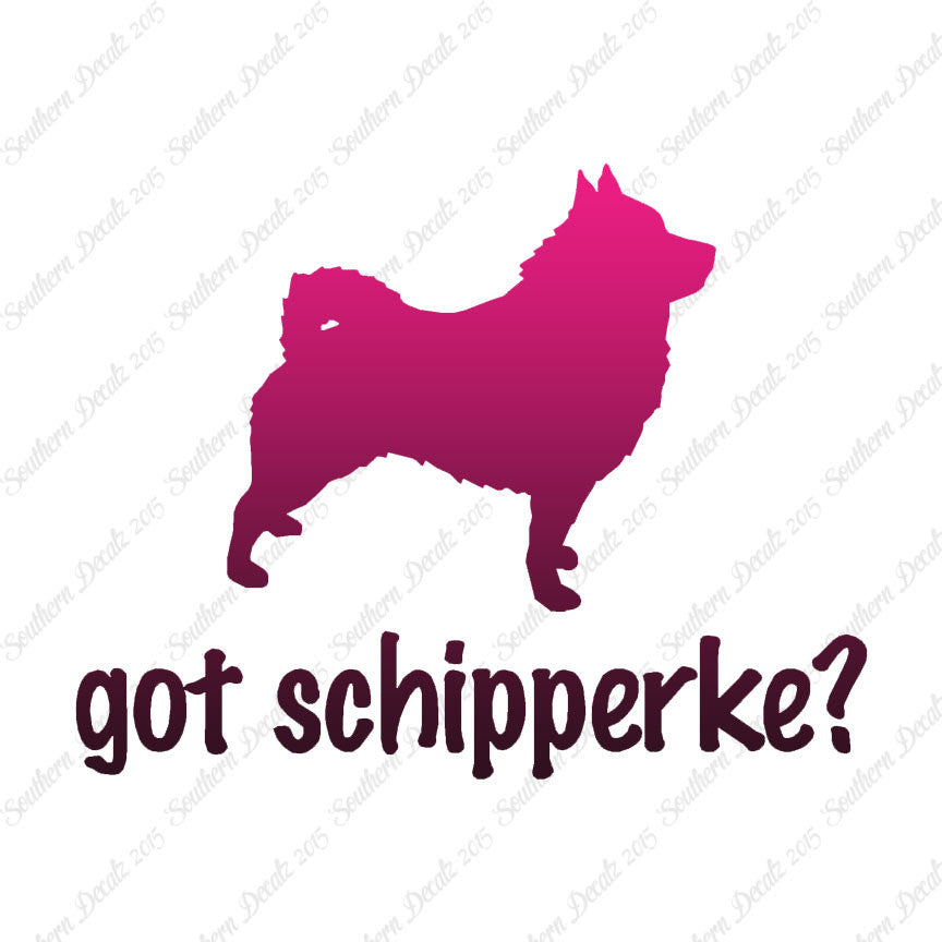 Got Schipperke ? Dog Breed