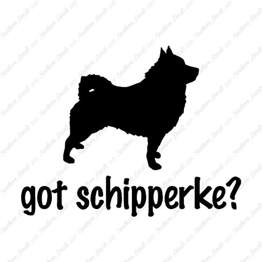 Got Schipperke ? Dog Breed