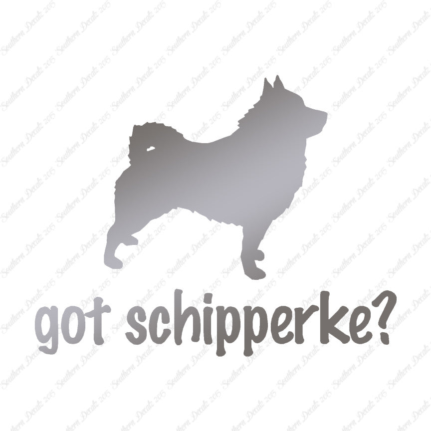 Got Schipperke ? Dog Breed