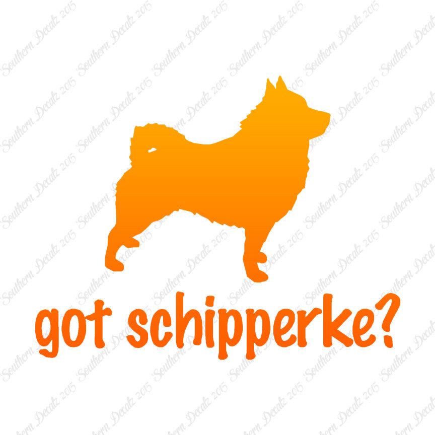 Got Schipperke ? Dog Breed