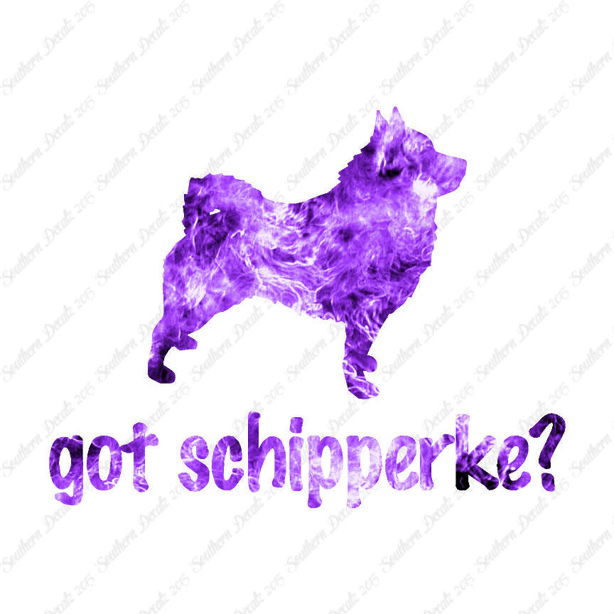 Got Schipperke ? Dog Breed