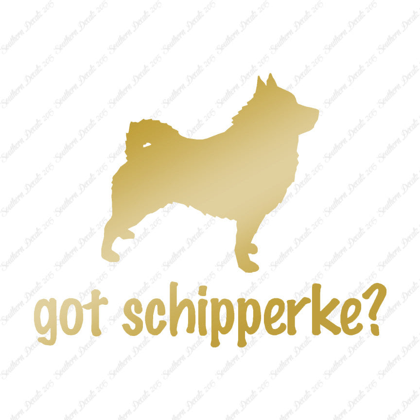 Got Schipperke ? Dog Breed
