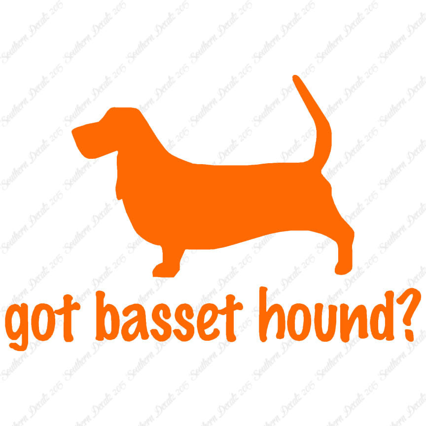 Got Basset Hound ? Dog Breed