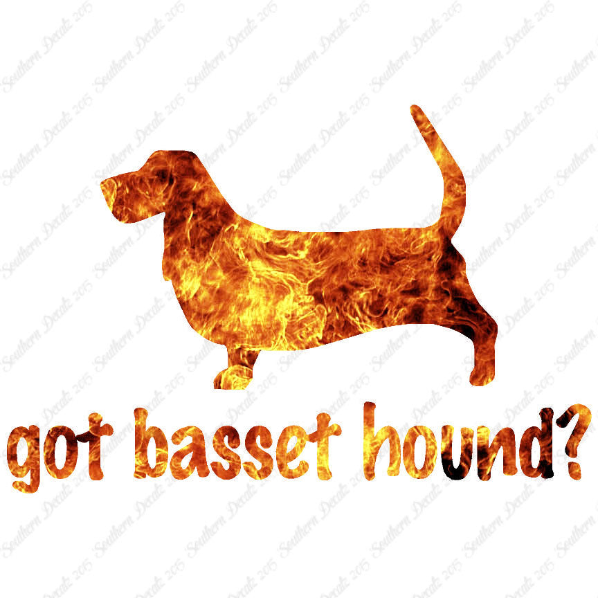 Got Basset Hound ? Dog Breed