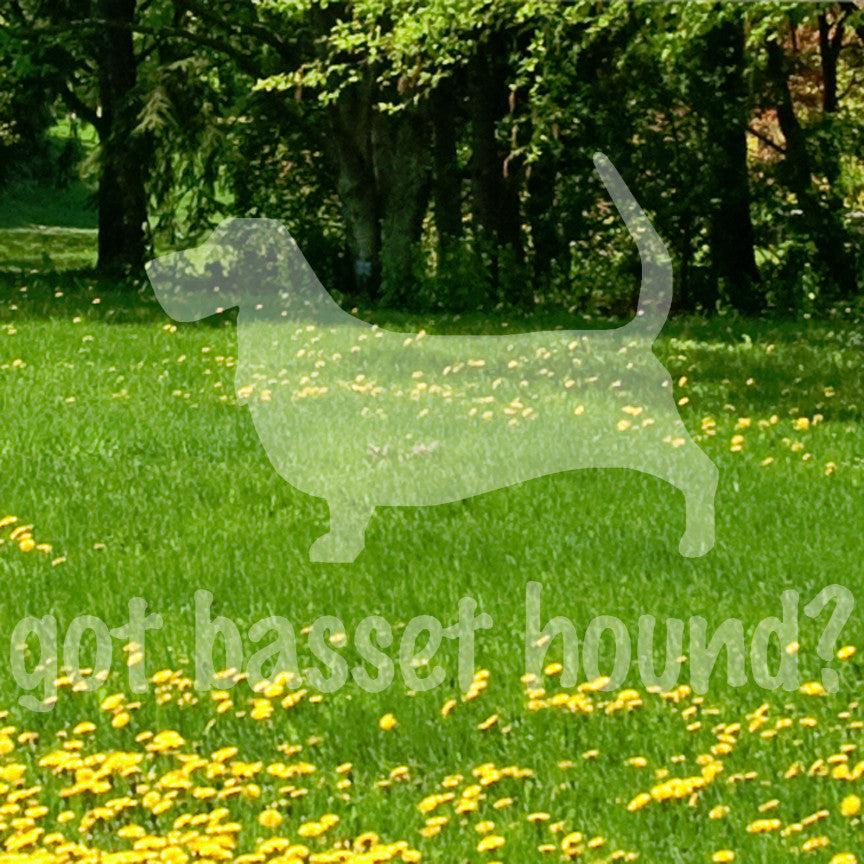 Got Basset Hound ? Dog Breed