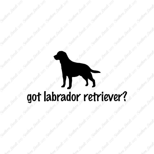 Got Labrador Retriever ? Dog Breed