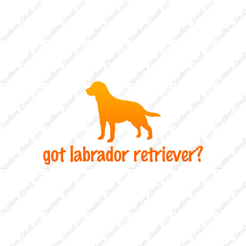 Got Labrador Retriever ? Dog Breed