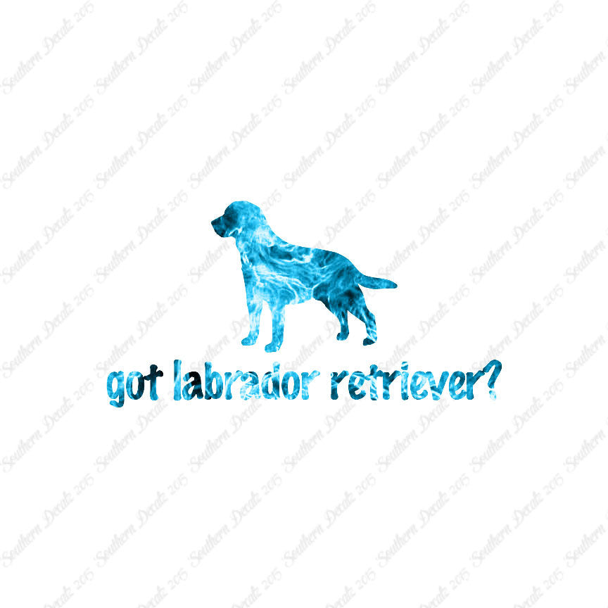 Got Labrador Retriever ? Dog Breed
