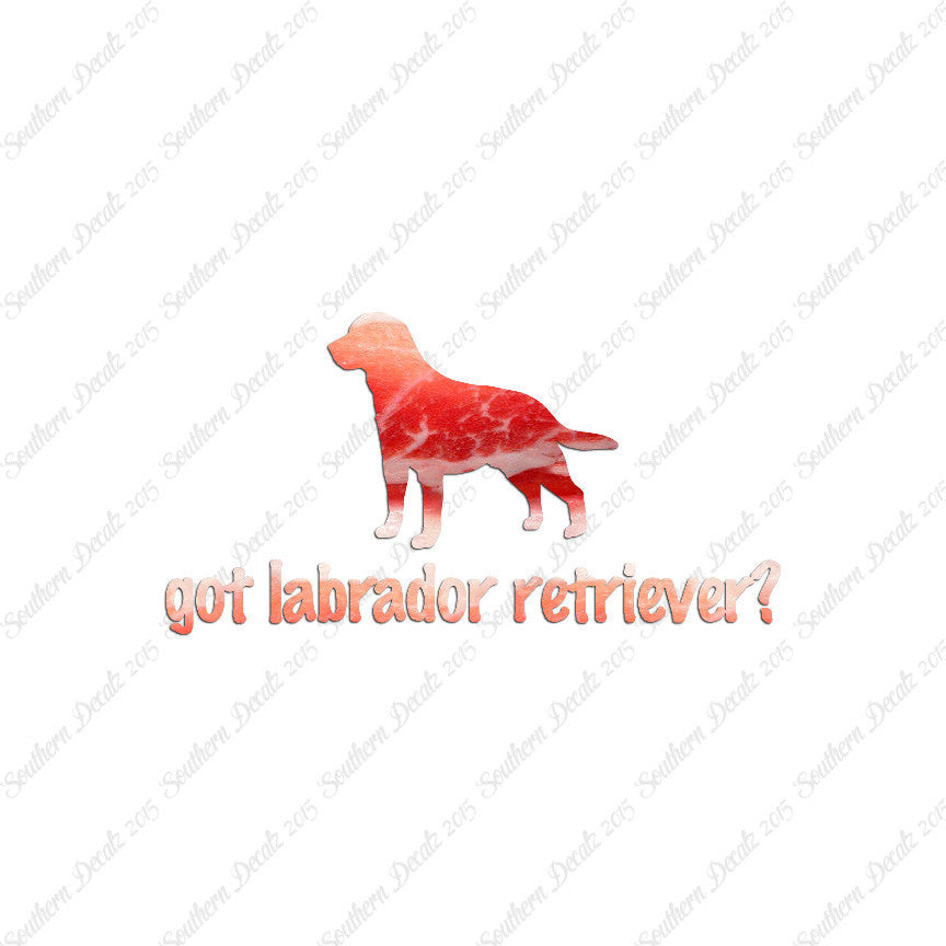 Got Labrador Retriever ? Dog Breed
