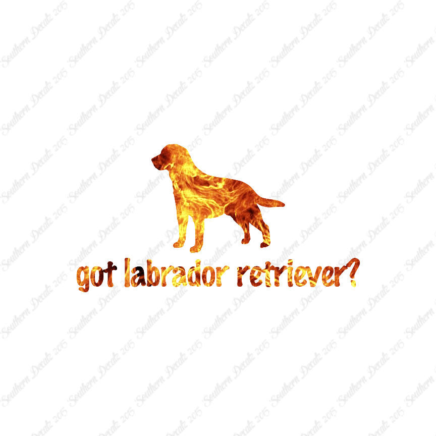 Got Labrador Retriever ? Dog Breed