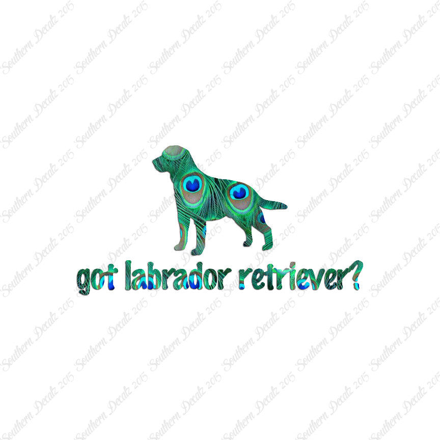 Got Labrador Retriever ? Dog Breed