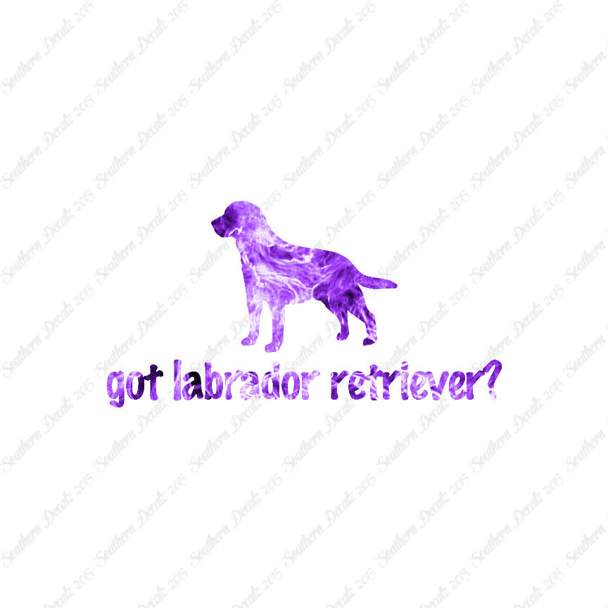 Got Labrador Retriever ? Dog Breed