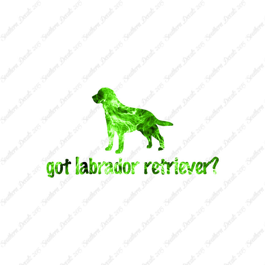 Got Labrador Retriever ? Dog Breed