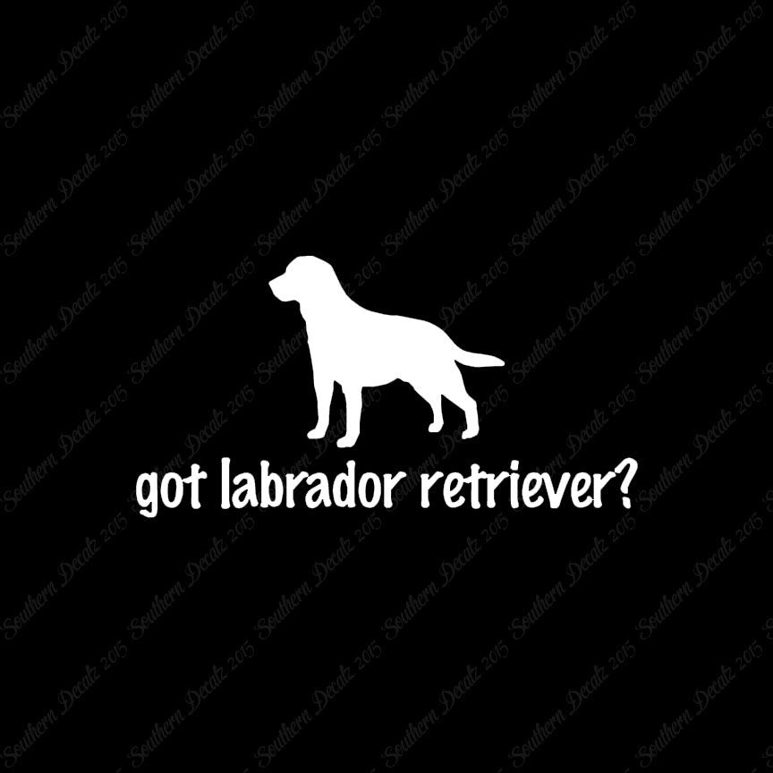 Got Labrador Retriever ? Dog Breed