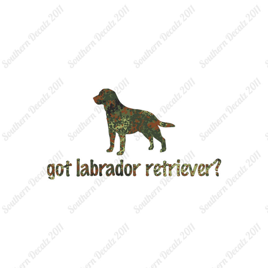 Got Labrador Retriever ? Dog Breed