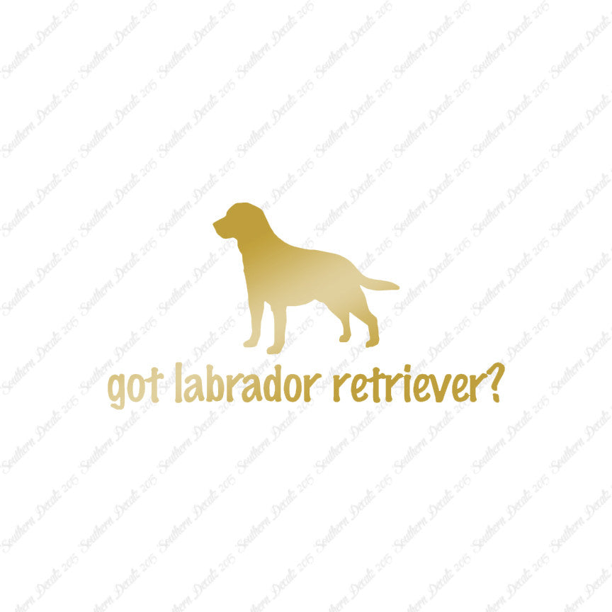 Got Labrador Retriever ? Dog Breed