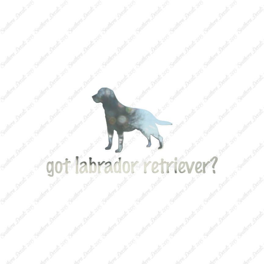 Got Labrador Retriever ? Dog Breed