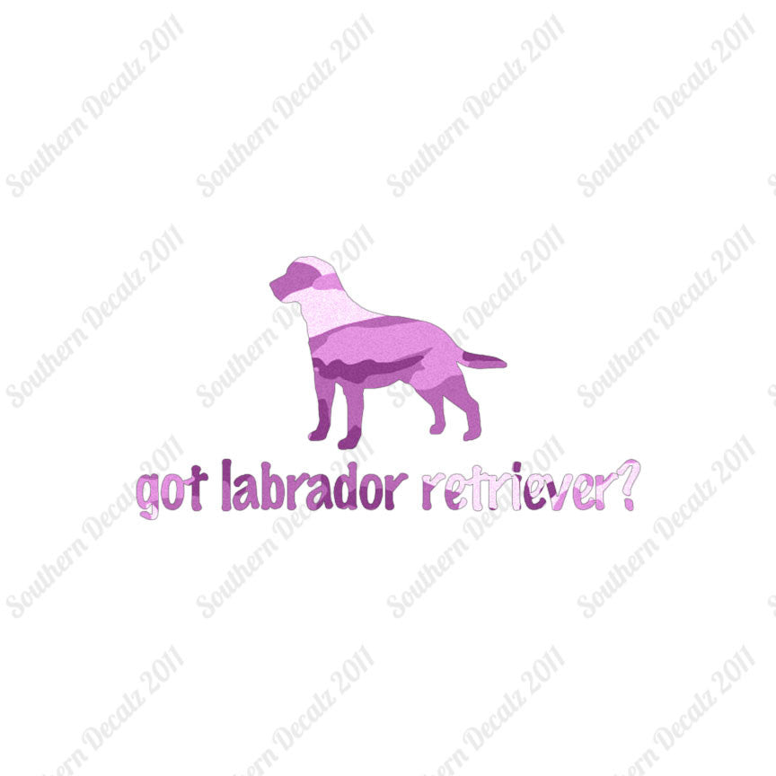 Got Labrador Retriever ? Dog Breed