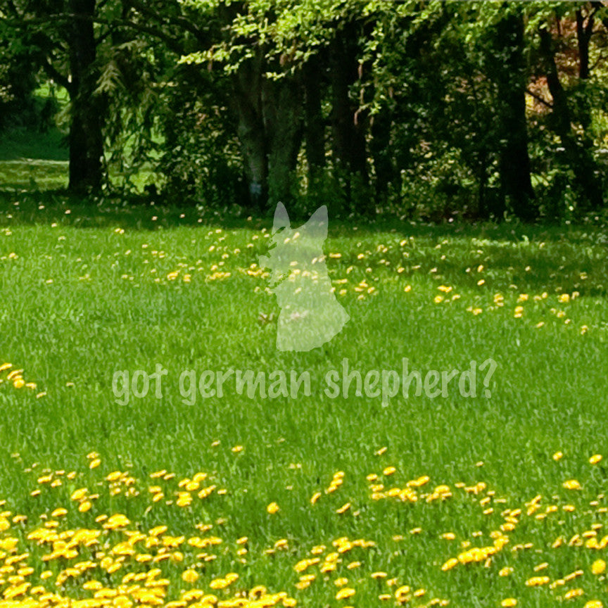 Got German Shepherd ? Head Dog Breed
