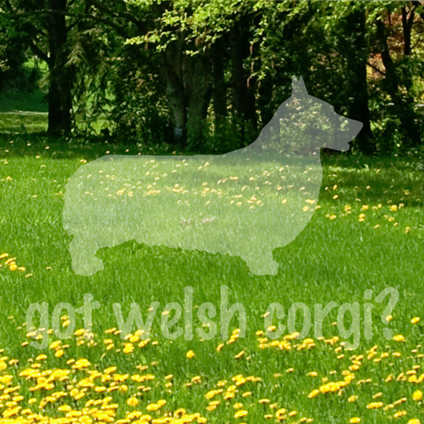 Got Welsh Corgi ? Dog Breed