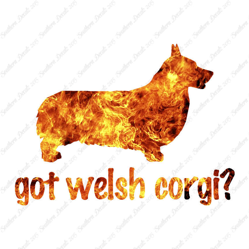 Got Welsh Corgi ? Dog Breed
