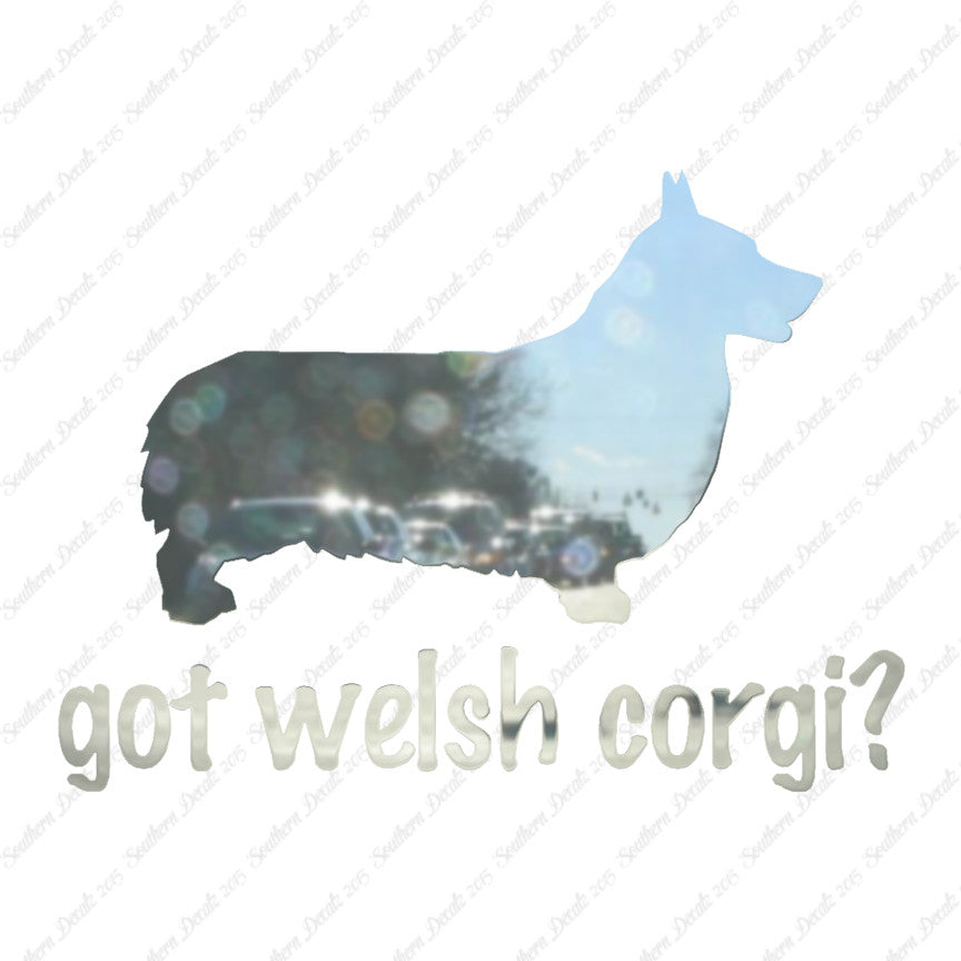 Got Welsh Corgi ? Dog Breed