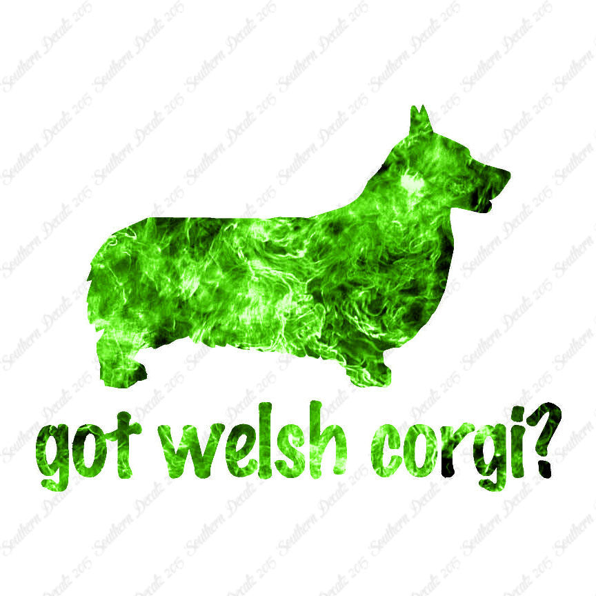 Got Welsh Corgi ? Dog Breed