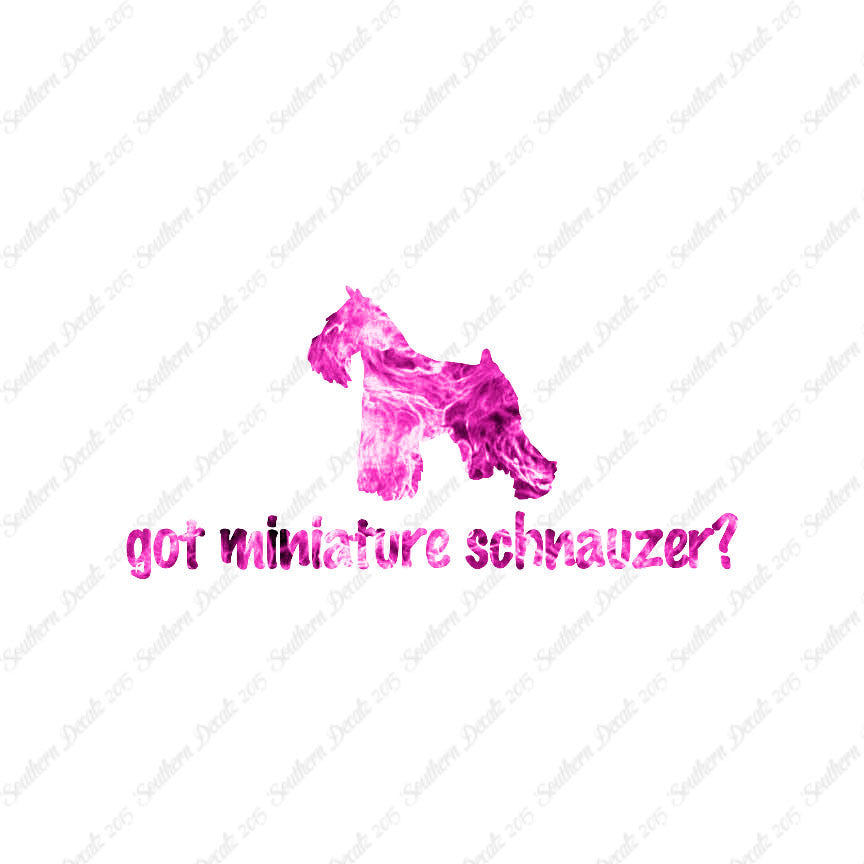 Got Miniature Schnauzer ? Dog Breed