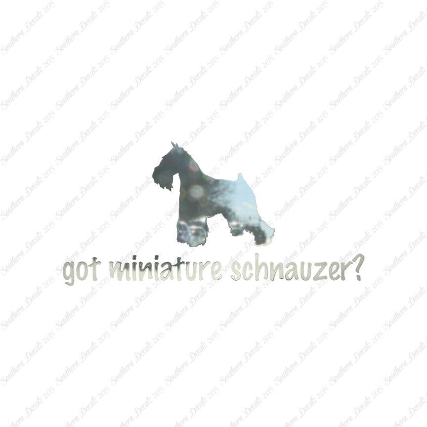 Got Miniature Schnauzer ? Dog Breed