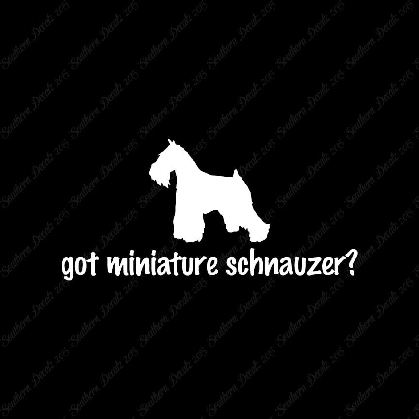 Got Miniature Schnauzer ? Dog Breed
