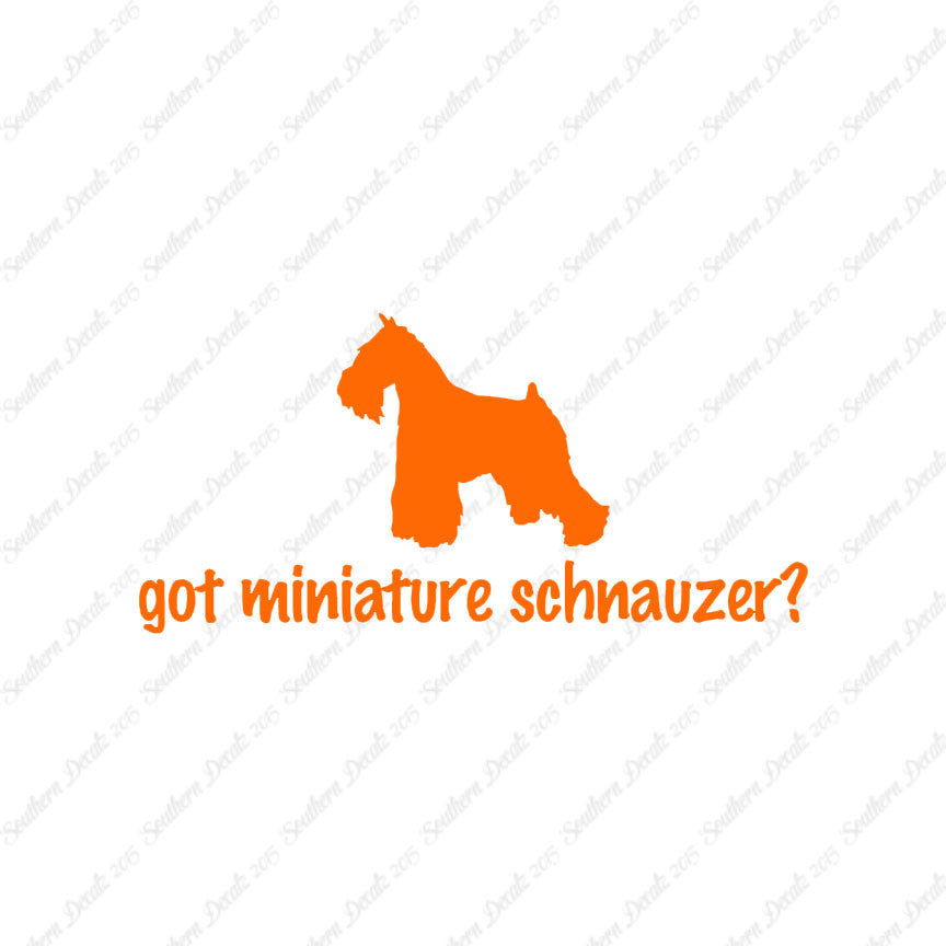 Got Miniature Schnauzer ? Dog Breed