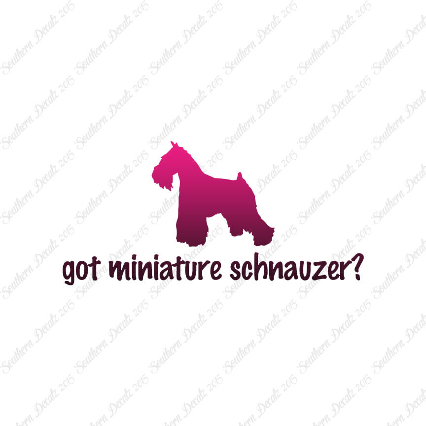 Got Miniature Schnauzer ? Dog Breed