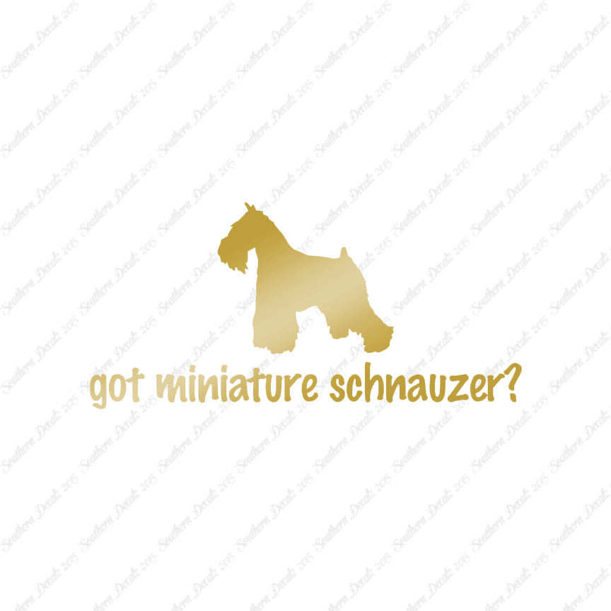 Got Miniature Schnauzer ? Dog Breed