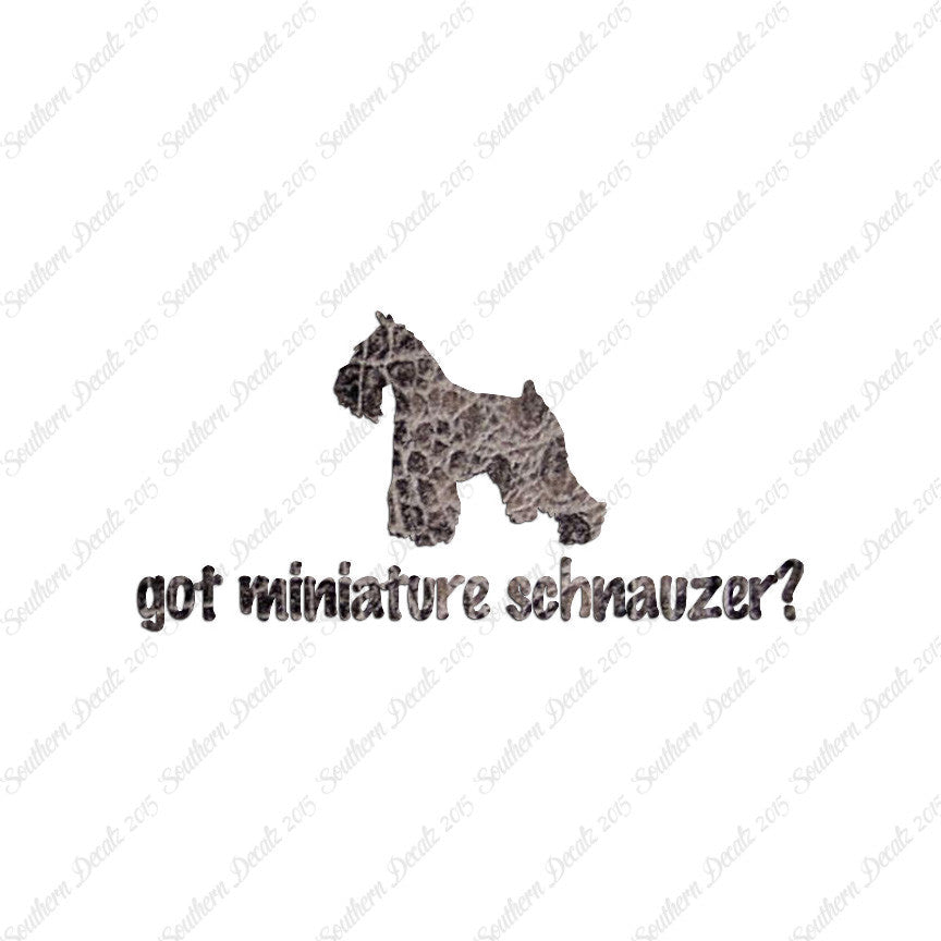 Got Miniature Schnauzer ? Dog Breed